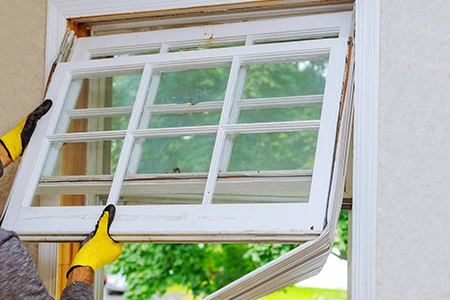 Window Replacement in Cape Coral, FL